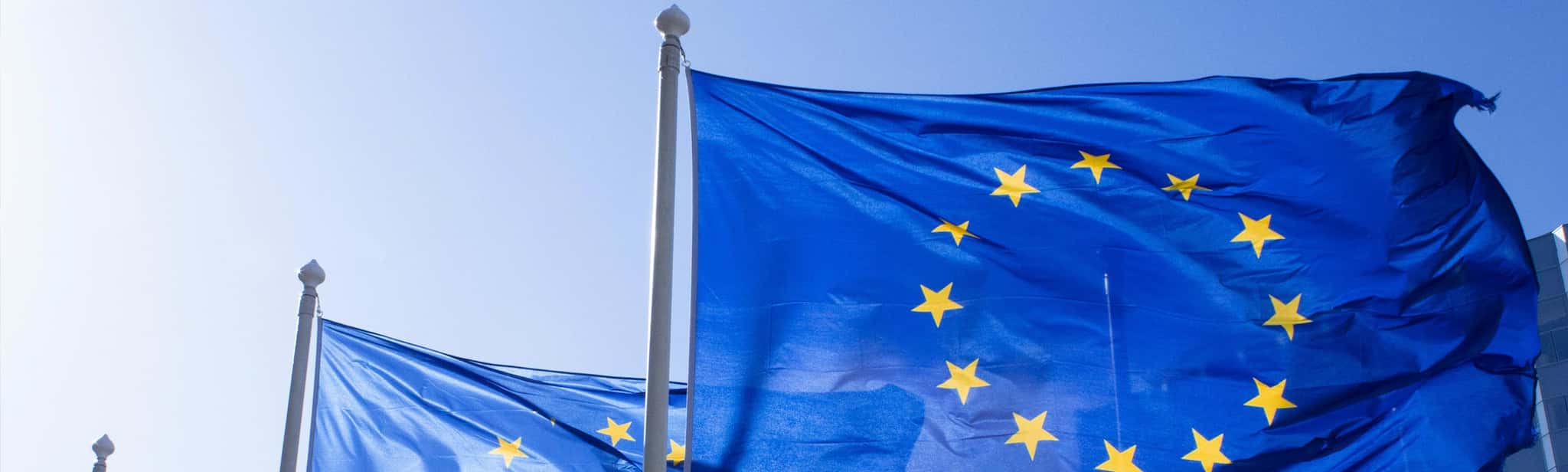 Europaflaggen vor blauem Himmel.